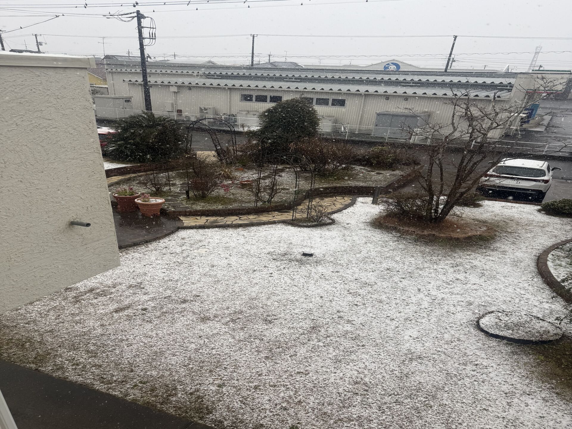 今年初雪積もりそう明日は朝凍結注意