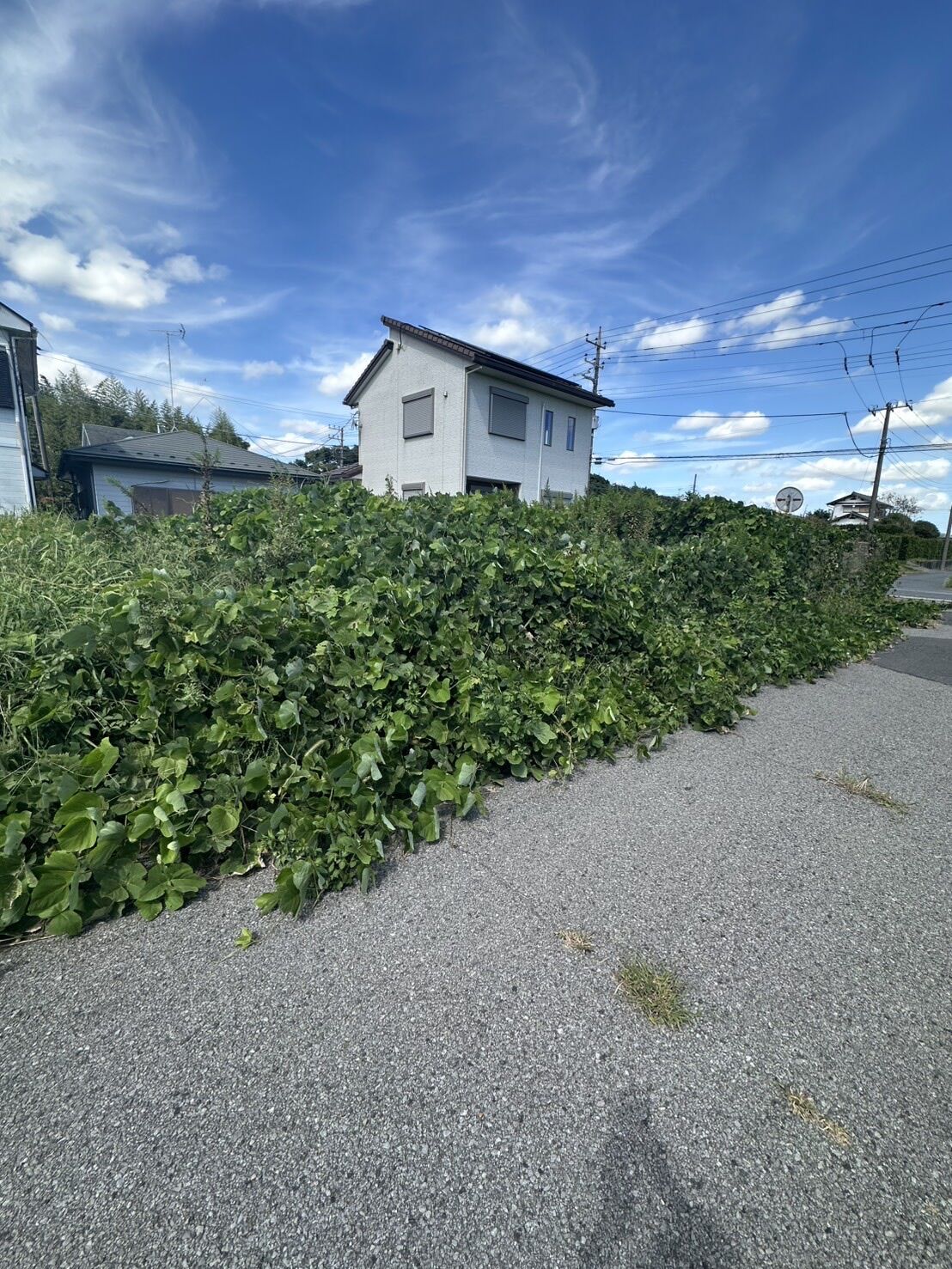 不動産複数社に引き取って貰えなかった土地って